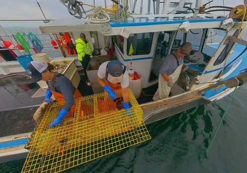 The crew aboard a lobster fishing vessel prepares a big yellow trap.